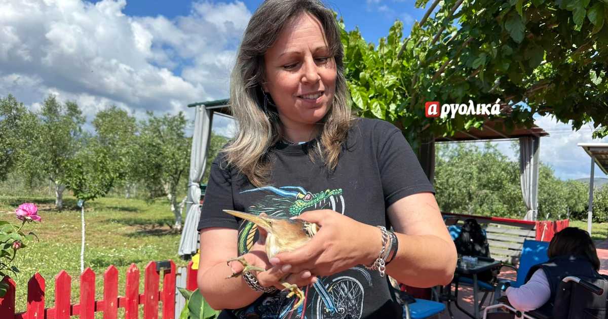 έσωσαν ερωδιό στη Κίο Αργολίδας
