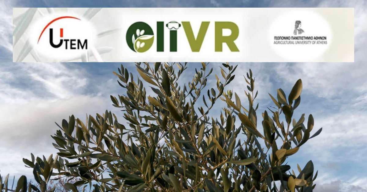καινοτομία και την ψηφιακή εκπαίδευση στην ελαιοκαλλιέργεια